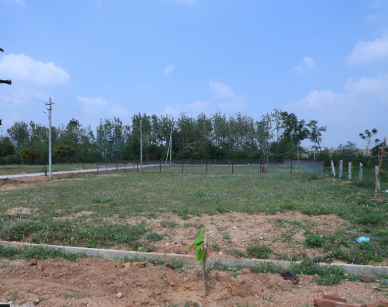 Residential Plots for Sale in Chikkaballapu